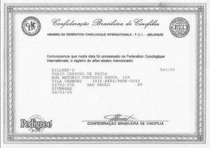 certificado-cbkc